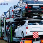 Dong Xu 2 Axle Car Carrier Trailer